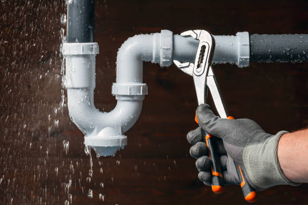 Professional Plumbing technician working in Republic, MI